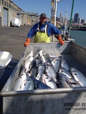 Fresh California Kings that Brand caught on F/V Kathy II