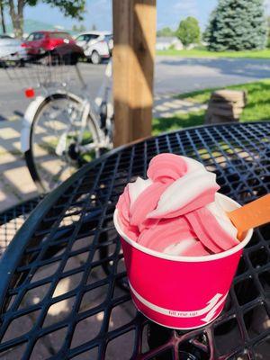 Coconut raspberry sorbet swirl