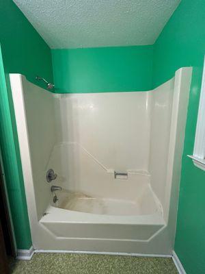 Our aging tub and shower.