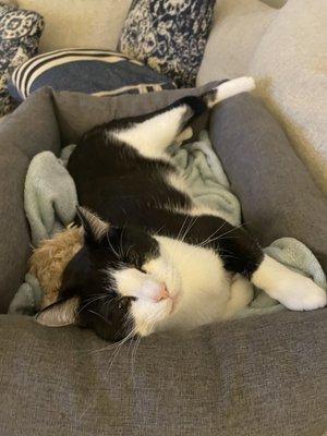 Oliver at home with his teddy bear..