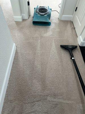 We dry the carpet in 3 hrs