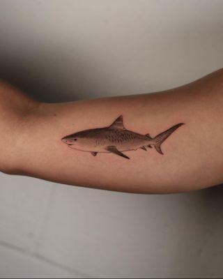 Tiger Shark Tattoo