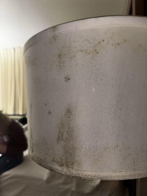 moldy lampshades