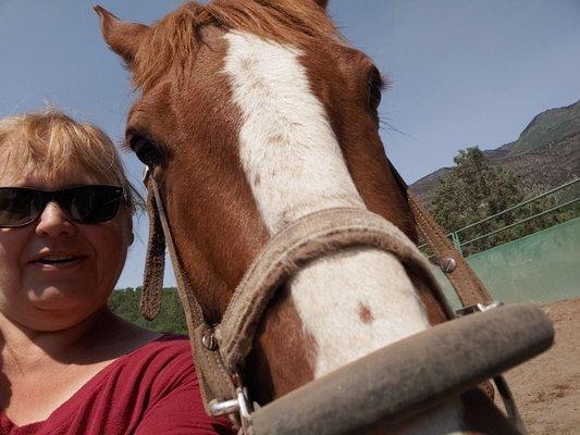 Getting ready to leave and Honey (not my horse) came over and was full of snuggles