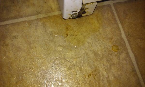 Water on the floor from fridge . Pic taken after it was supposedly fixed.