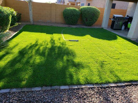 2 weeks later and I couldn't be happier with this stunning lawn!