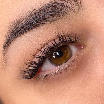 Lash extensions * L curl