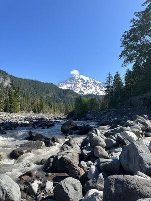 The view from Wonderland Trail