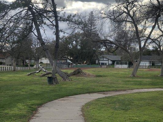 Baseball field #2