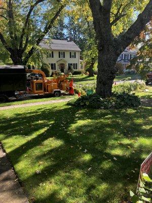 Dynamic Tree Service