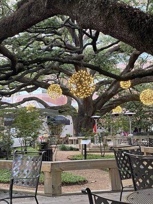 View of out door seating.