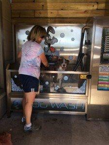 Rody and his mom are enjoying their time at the dog wash at the Pirate Coin Laundry Center