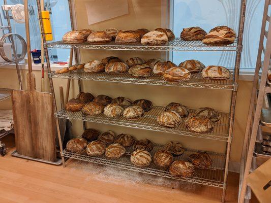 Sourdough raised boules