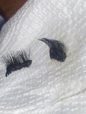 the disgusting and negligently applied "lash extensions" applied to my mother