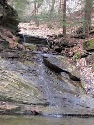 Chagrin Metro Parks 2009