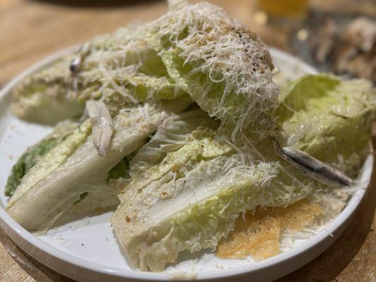 Caesar salad with anchovies and Parmesan crisps