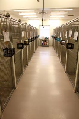 kennel view