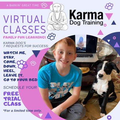 Karma Dog Training