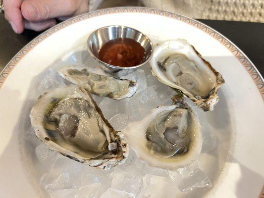 Raw blue point oysters