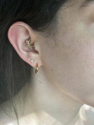 Daith piercing (Eden Pear from BVLA), 2nd lobe piercings purchased here at Purity, with gold hoops from Maison Miru)