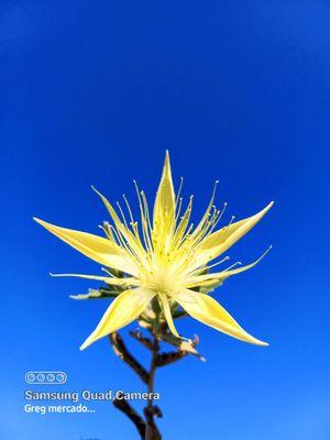 Cucamonga Creek Trail