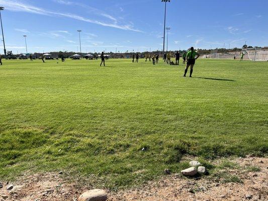 Soccer fields