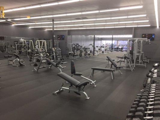 Additional free weights and plate loaded area