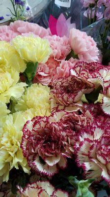 Carnations