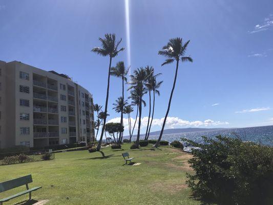 Royal Mauian oceanfront