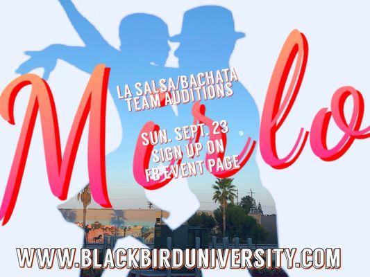 #salsadance #bachatadance #latinmusic #losangelesdance #teamauditions #auditions #blackbirdmagic #mirlo #subscribe to website for info