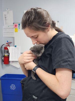 vet tech and kitten #catfriendly #fearfree