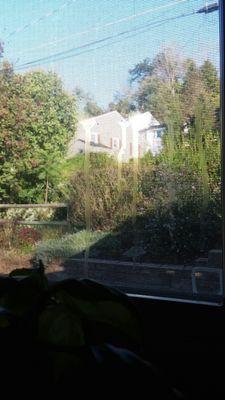 Water stains on kitchen window. This would have been a perfect "spot" to clean, no?