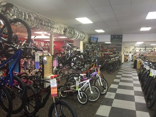 More store and bikes!