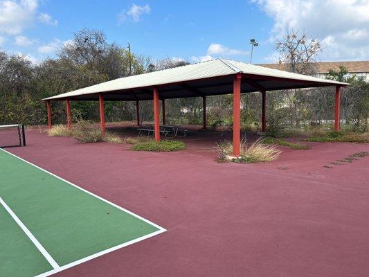 Overgrown covered picnic area next to tennis courts