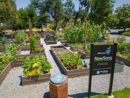 NewSong Community Garden