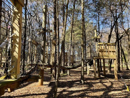 Trinity Forest Adventure Park