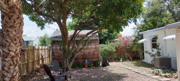 Beautifully trimmed tree.