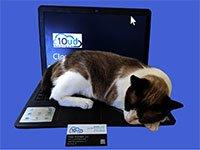 Panje Animal IT expert