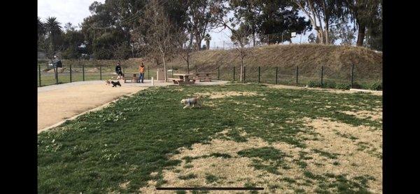 Small dog park