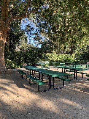 Lots of picnic tables and BBQ grills