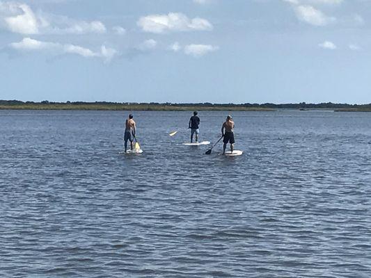 Guided Tours Availability for both paddle boarding and kayaking