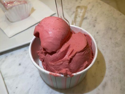 11/24/2024 - Raspberry Sorbet $9