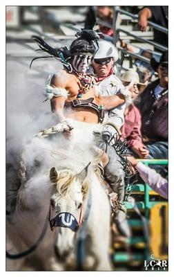 "The Wild Ride" at the Red Bluff Round Up.