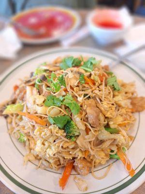 Soft egg noodles with chicken and veggies