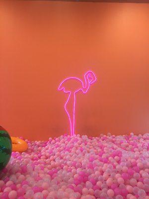 flamingo