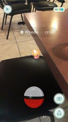 They have Weedles too ,,,,, lol