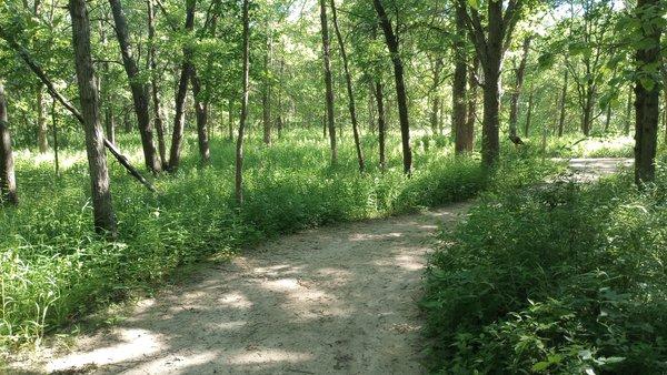 Crushed limestone and dirt path (Green Trail)