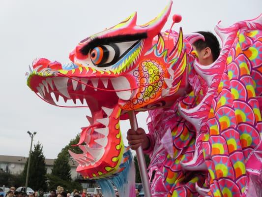 Dragon dance. Chinese New Year 2014.