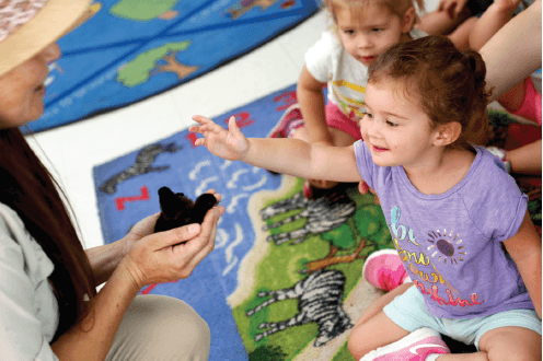 When Jungle Jill came to visit, she wowed students with birds, reptiles and insects. They loved playing and interacting with the animals.