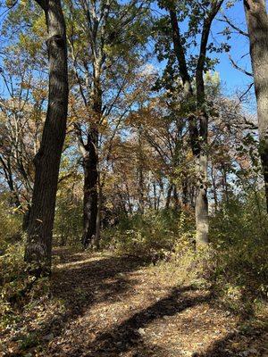 Springbrook Nature Center